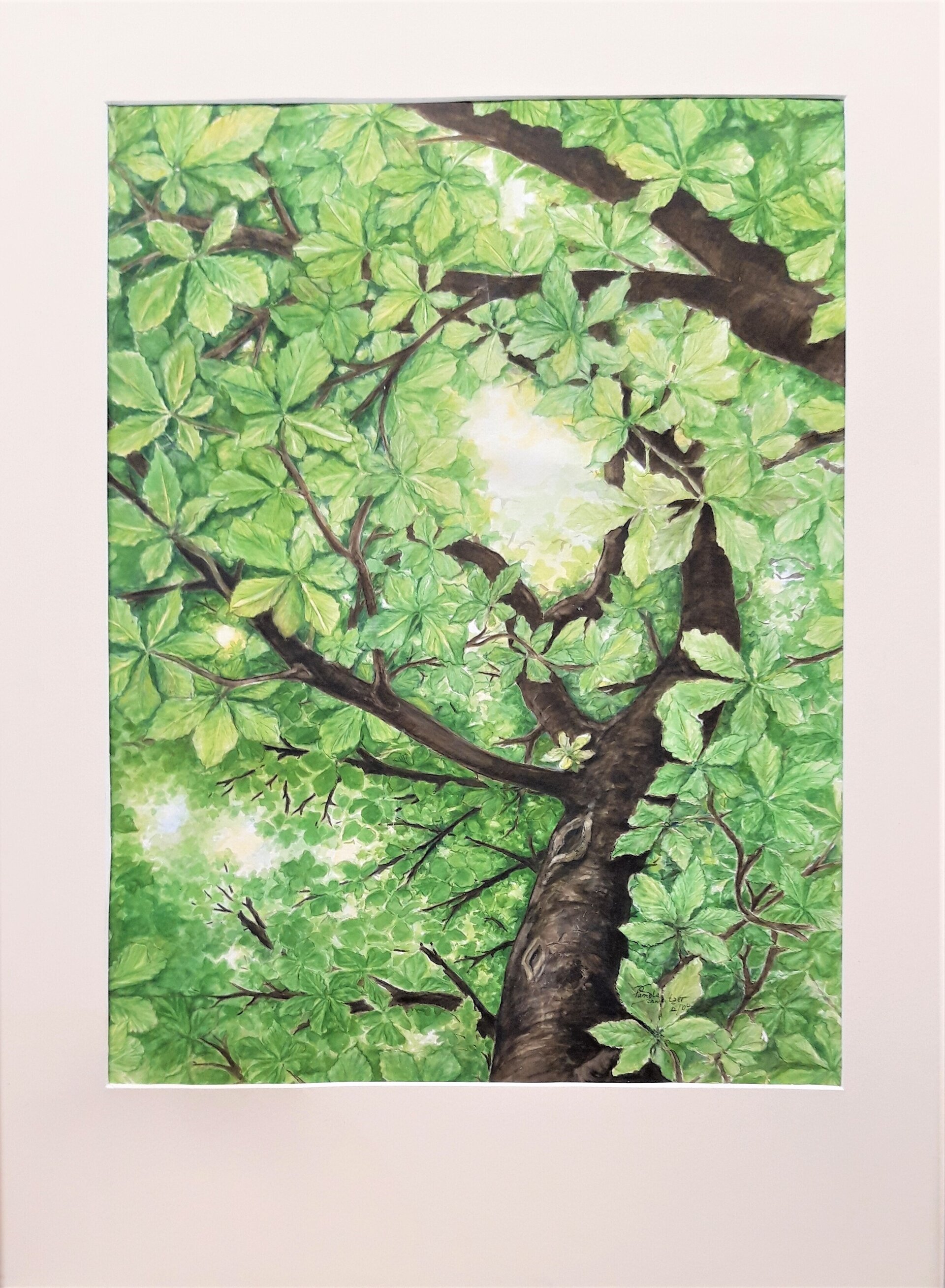 20220917_215049 20220917_215049