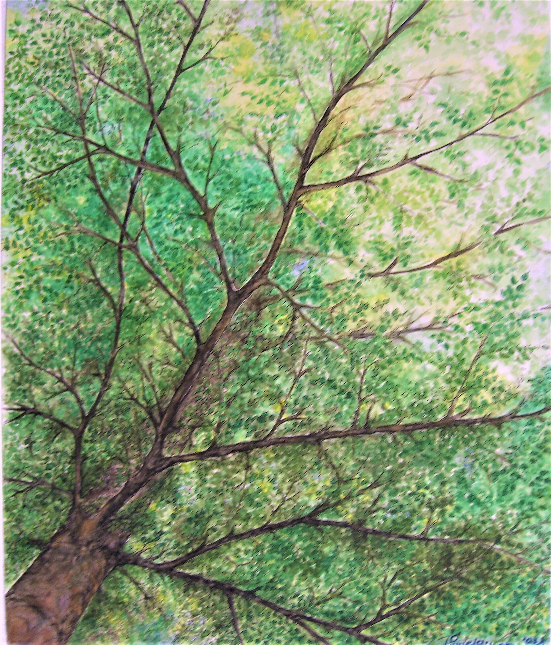 Baum
