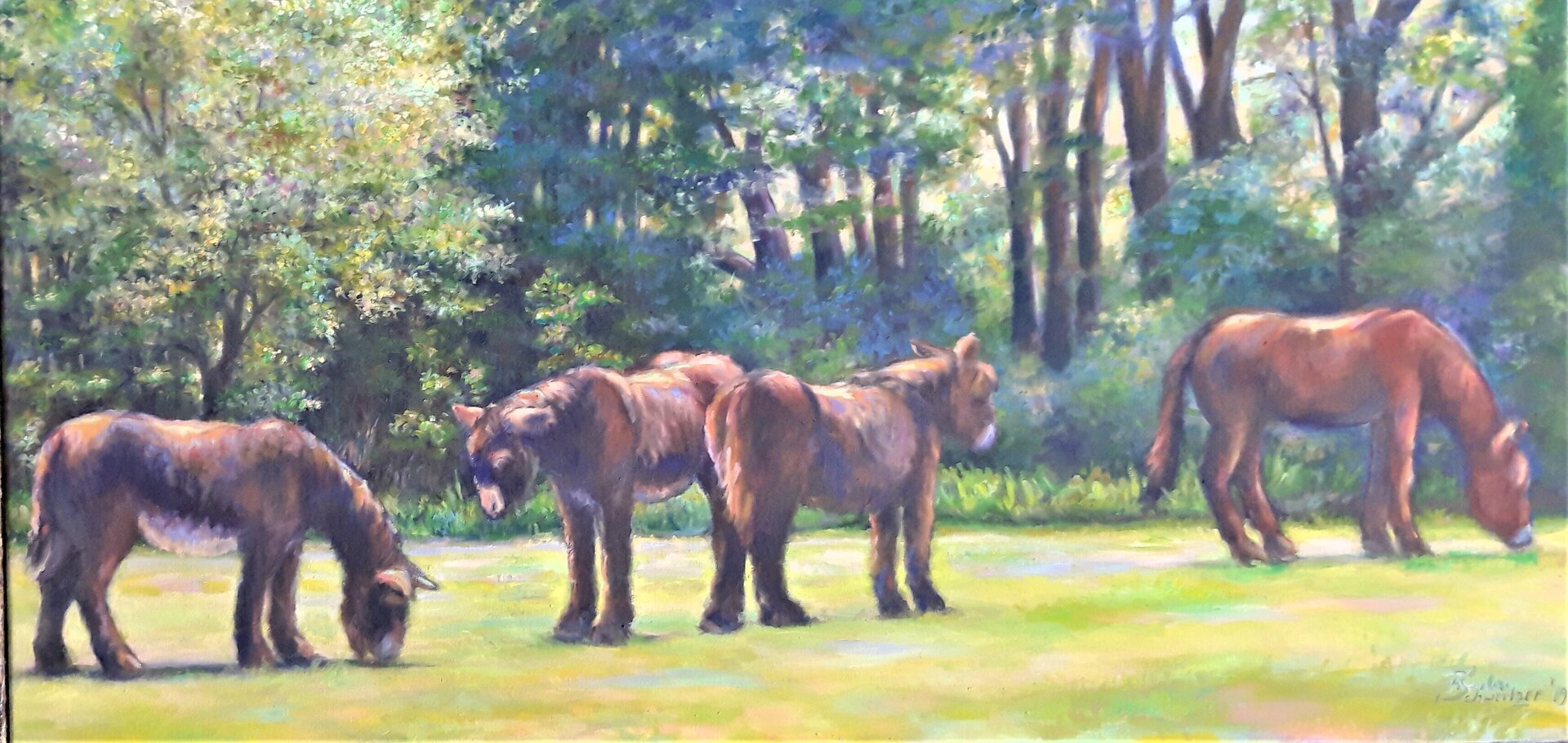 3 Poitou Esel und ein Muli 3 Poitou Esel und ein Muli