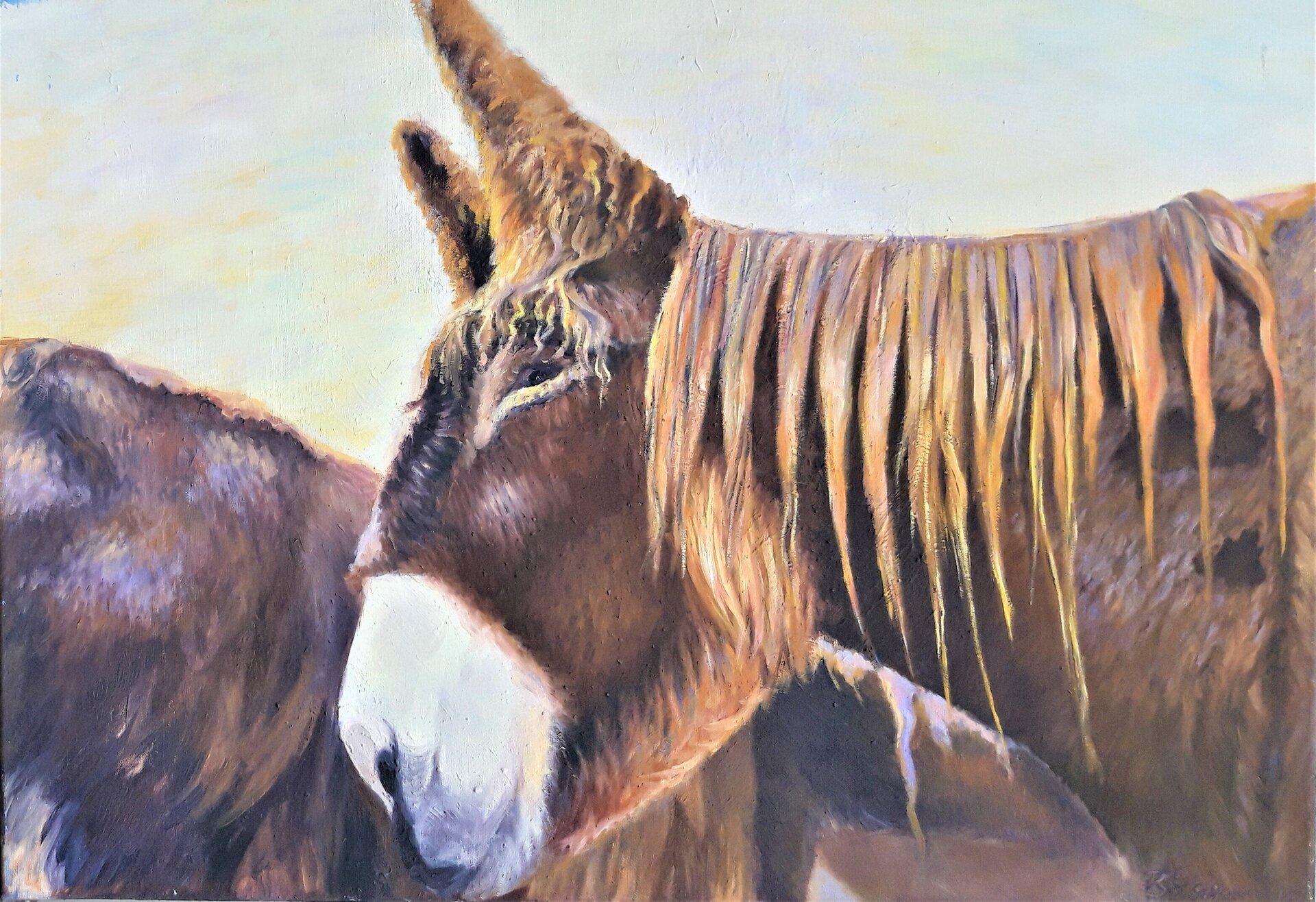 Schräger Blick Schräger Blick