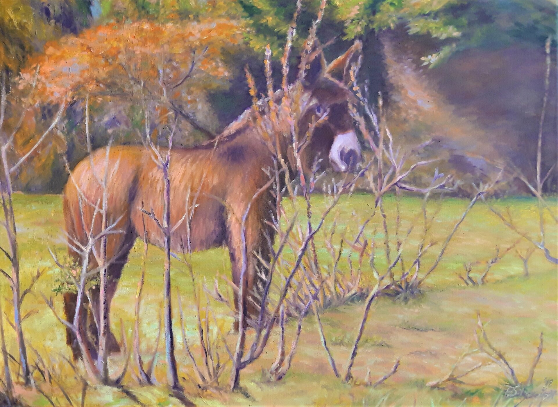 Aus dem Versteck